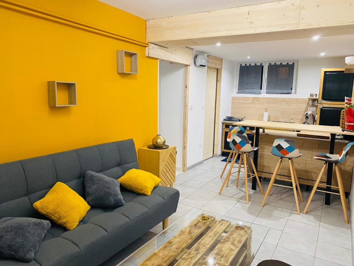 Studio 40M2 Plein Pied Avec Parking Jussac المظهر الخارجي الصورة