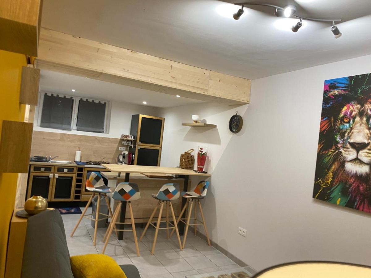 Studio 40M2 Plein Pied Avec Parking Jussac المظهر الخارجي الصورة