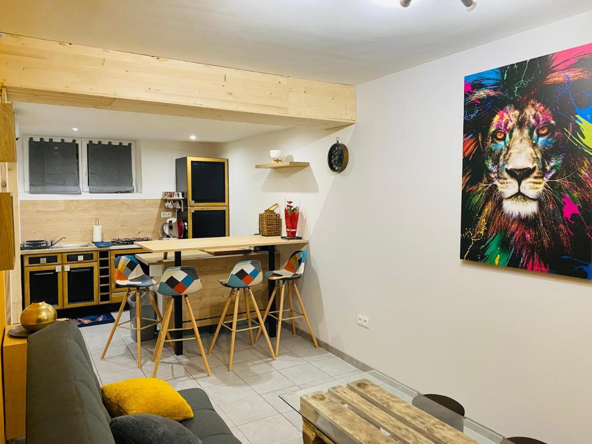 Studio 40M2 Plein Pied Avec Parking Jussac المظهر الخارجي الصورة